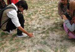 Students examining the colors of the earth and objects